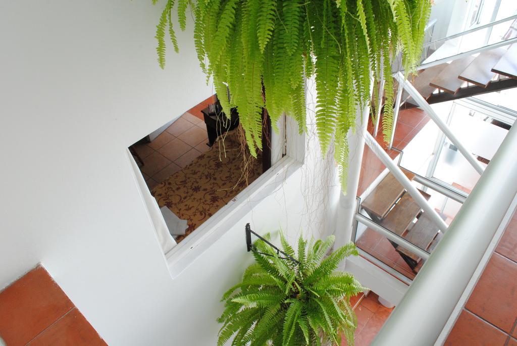 Hotel Romi Colonia del Sacramento Kültér fotó
